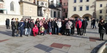IMG_20181205_105351