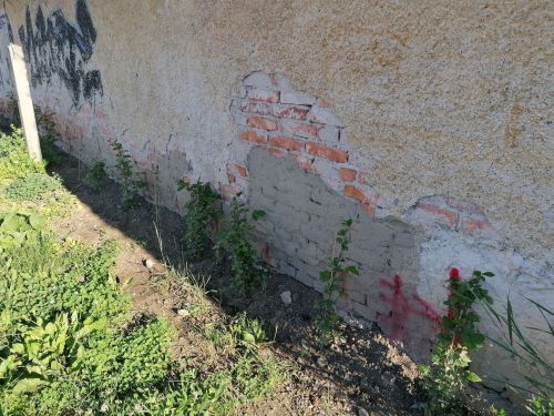 IMG_20220527_070957