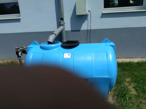 IMG-20220624-WA0004