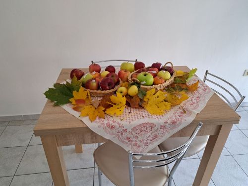 Výstava_jabĺk (1)