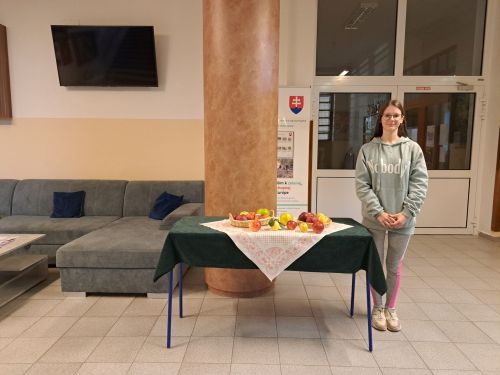 Výstava_jabĺk (2)