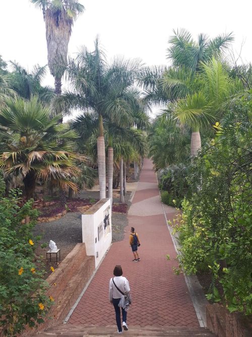 image15