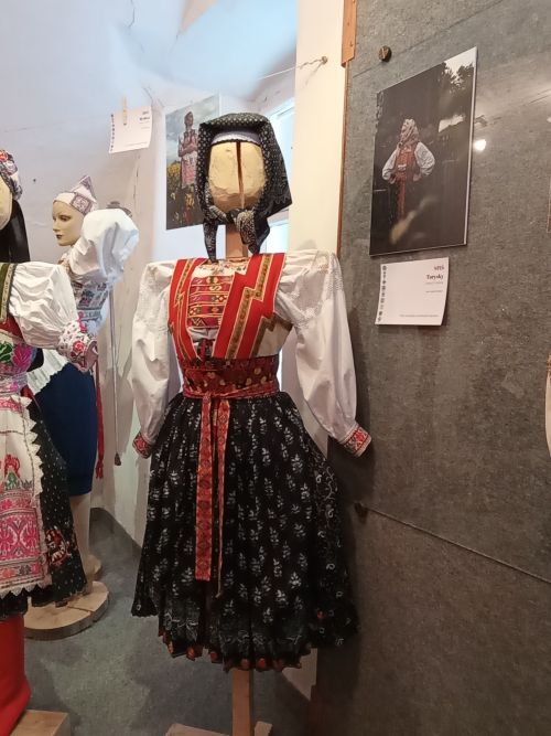 IMG_20231129_131447