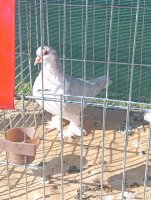 IMG_20240919_095226