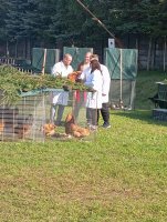IMG_20240919_095834