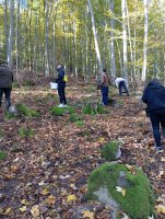 IMG_20241021_095400