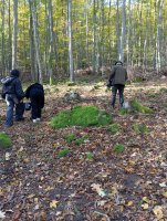 IMG_20241021_095403