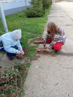 IMG_20241023_123035