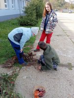 IMG_20241023_124325