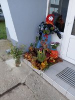 IMG_20241024_081917