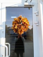 IMG_20241024_084848