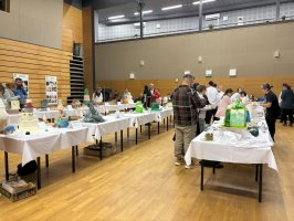 IMG_2519
