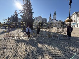 IMG_2641