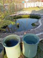 IMG_20241106_080313