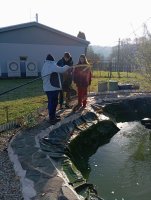 IMG_20241106_085942