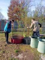 IMG_20241106_091324