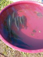 IMG_20241106_110433