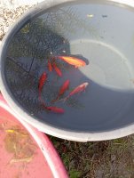 IMG_20241106_110451