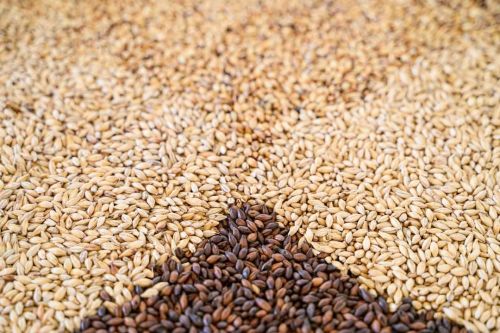 89e9df70-0cc5-4fad-a629-c9cab05c146f