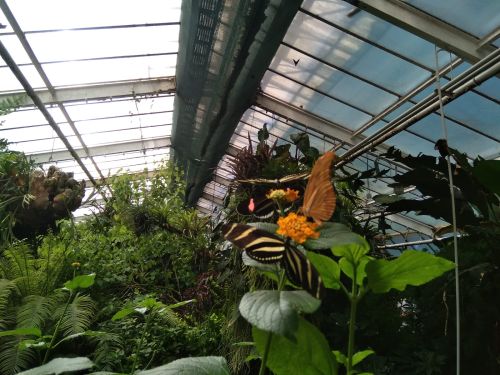 IMG-20240625-WA0005