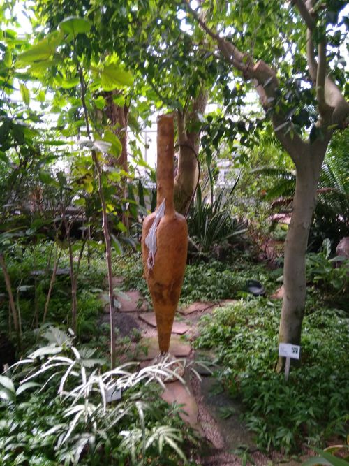 IMG-20240625-WA0018