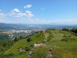 IMG_20250528_093815
