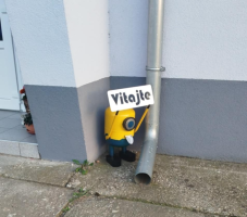 mimoň___